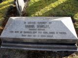 image of grave number 531525